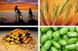 Tổng hợp thị trường hàng hóa thế giới tuần từ 13-19/5